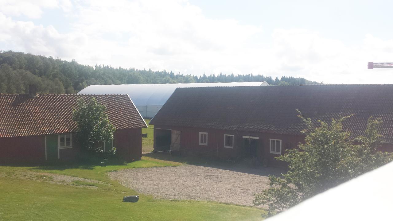 Gardsdroem B&B Ullared Buitenkant foto